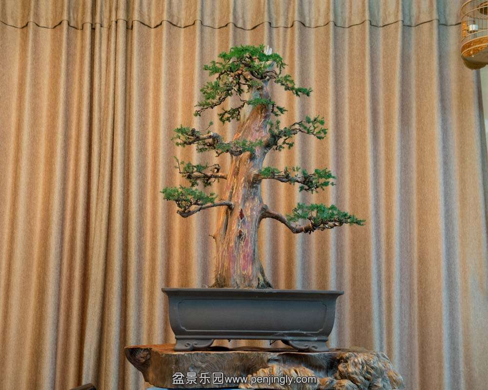 �����ʹ̰� (3).jpg