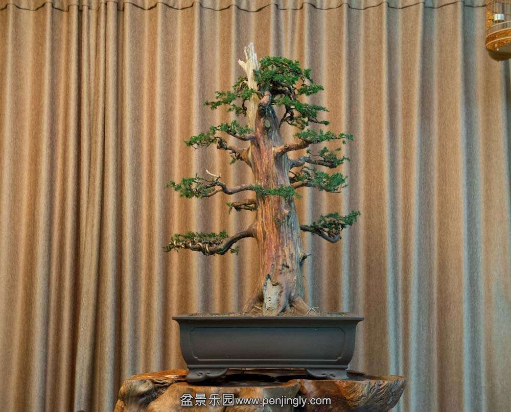 �����ʹ̰� (4).jpg