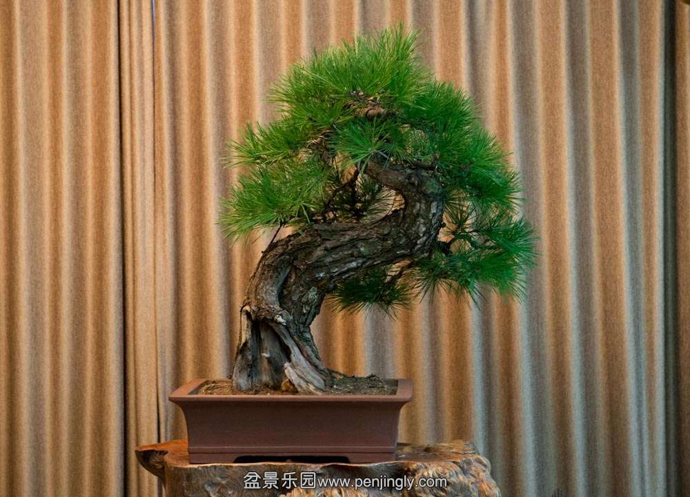 2006-2014 ���� (3).jpg