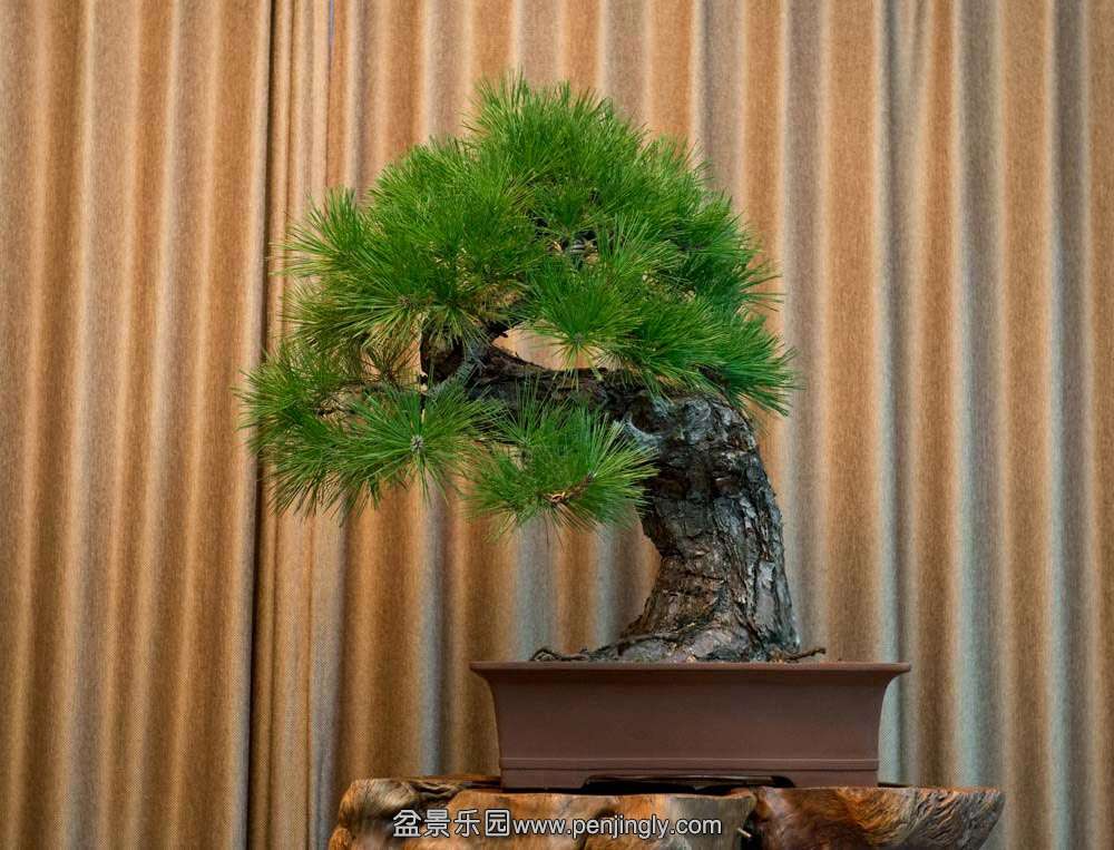 2006-2014 ���� (4).jpg