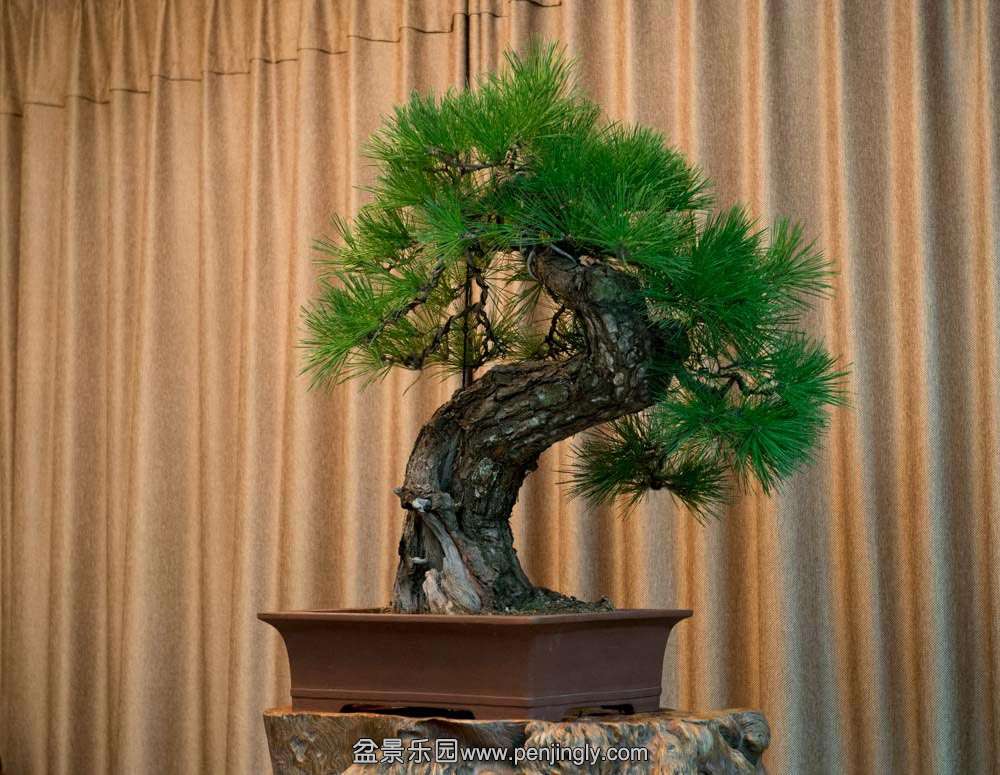 2006-2014 ���� (2).jpg