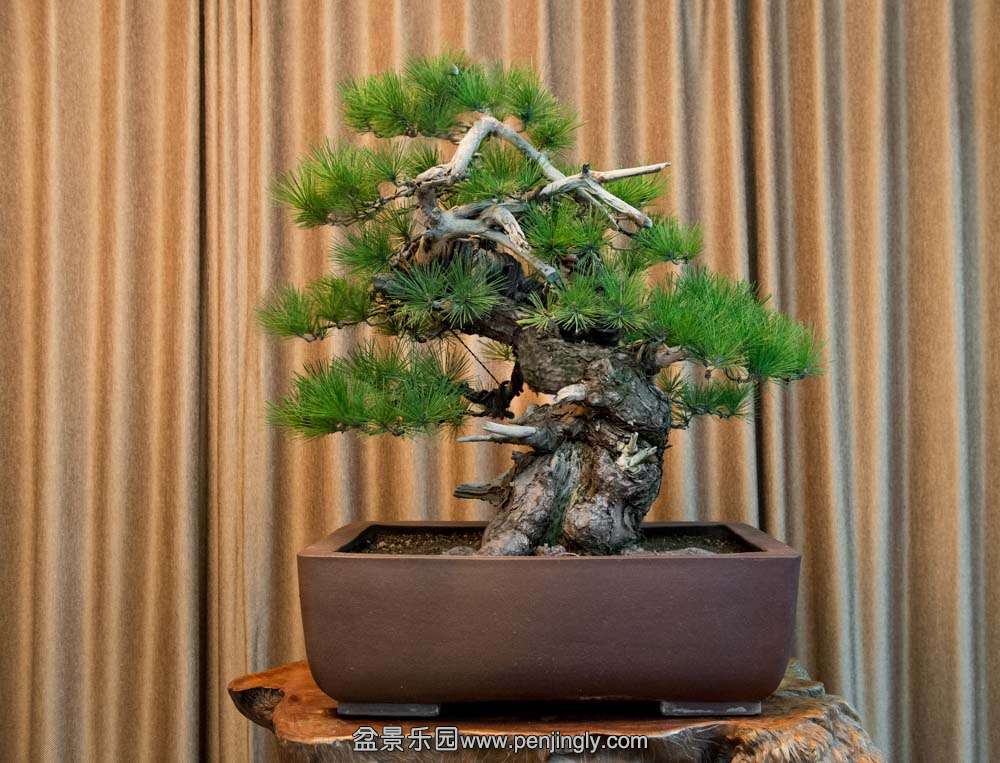 �ҵ����� (7).jpg