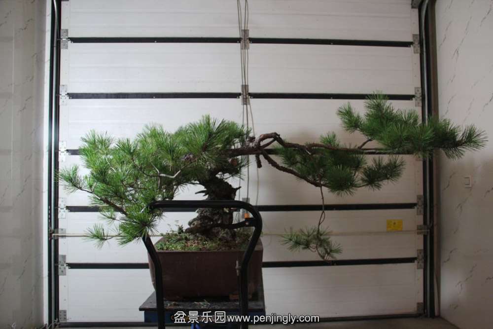 �ҵ����� (1).jpg