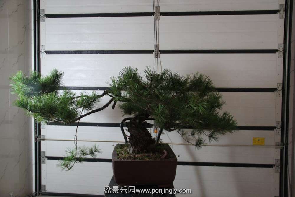 �ҵ����� (2).jpg