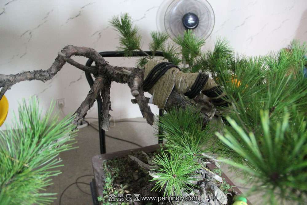 �ҵ����� (3).jpg