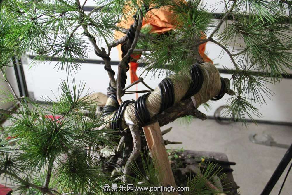 �ҵ����� (5).jpg