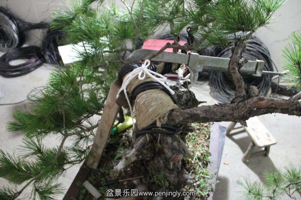 �ҵ����� (4).jpg