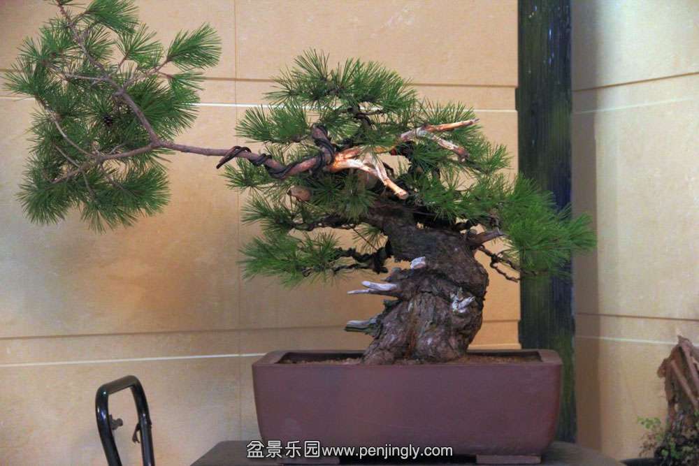 �ҵ����� (6).jpg