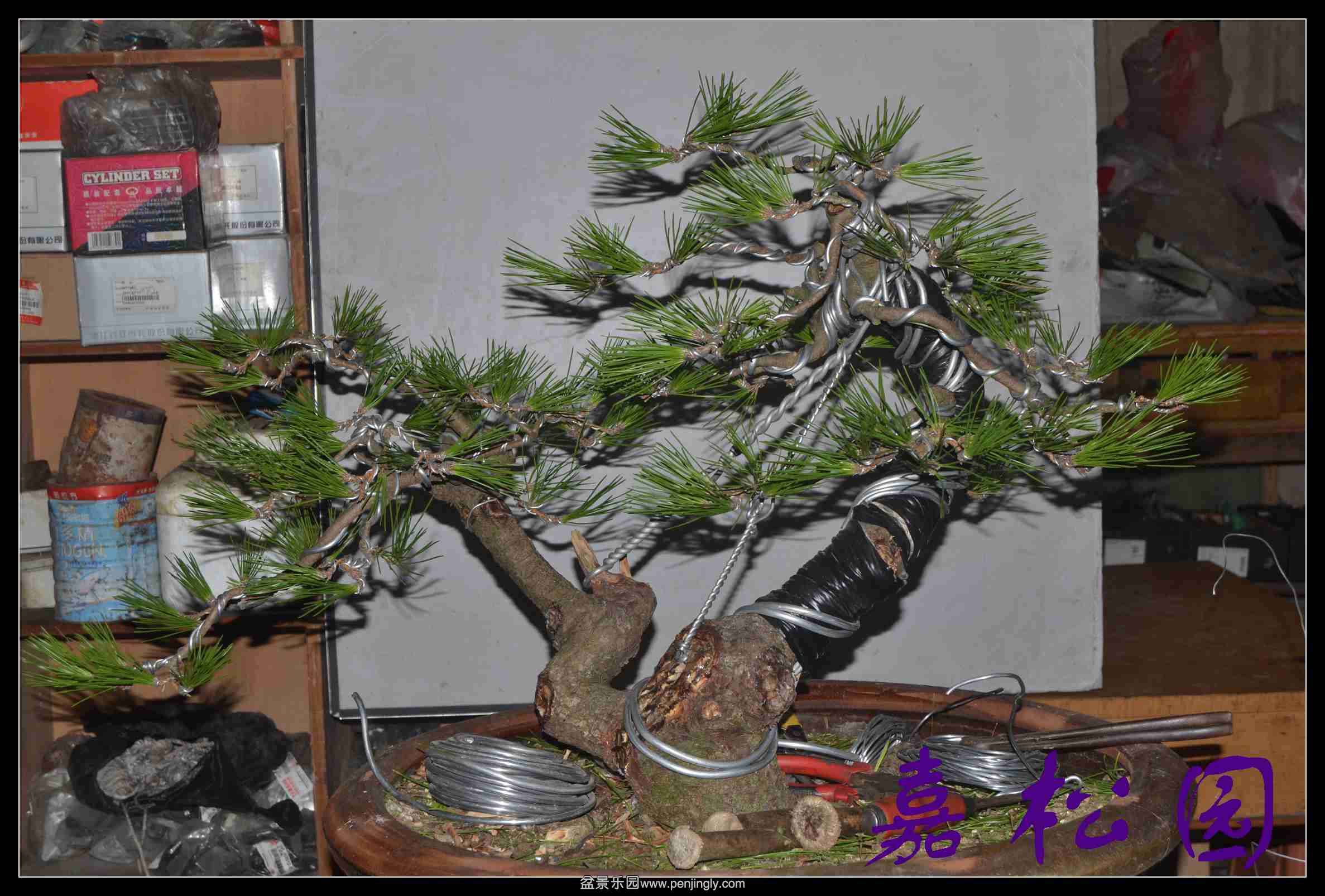 ����˫�˺��� 002.JPG