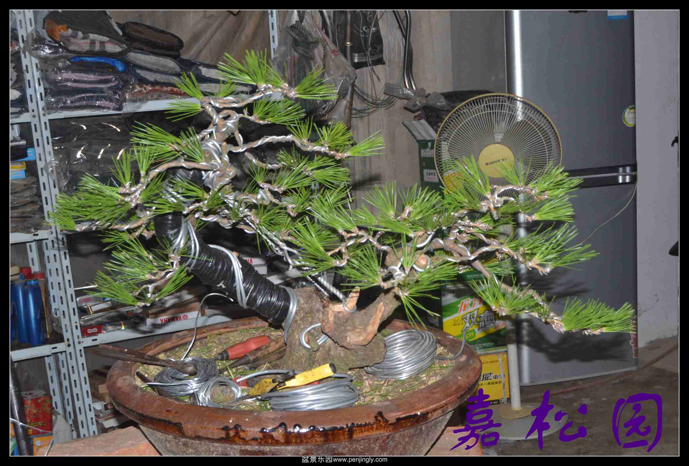 ����˫�˺��� 008.JPG