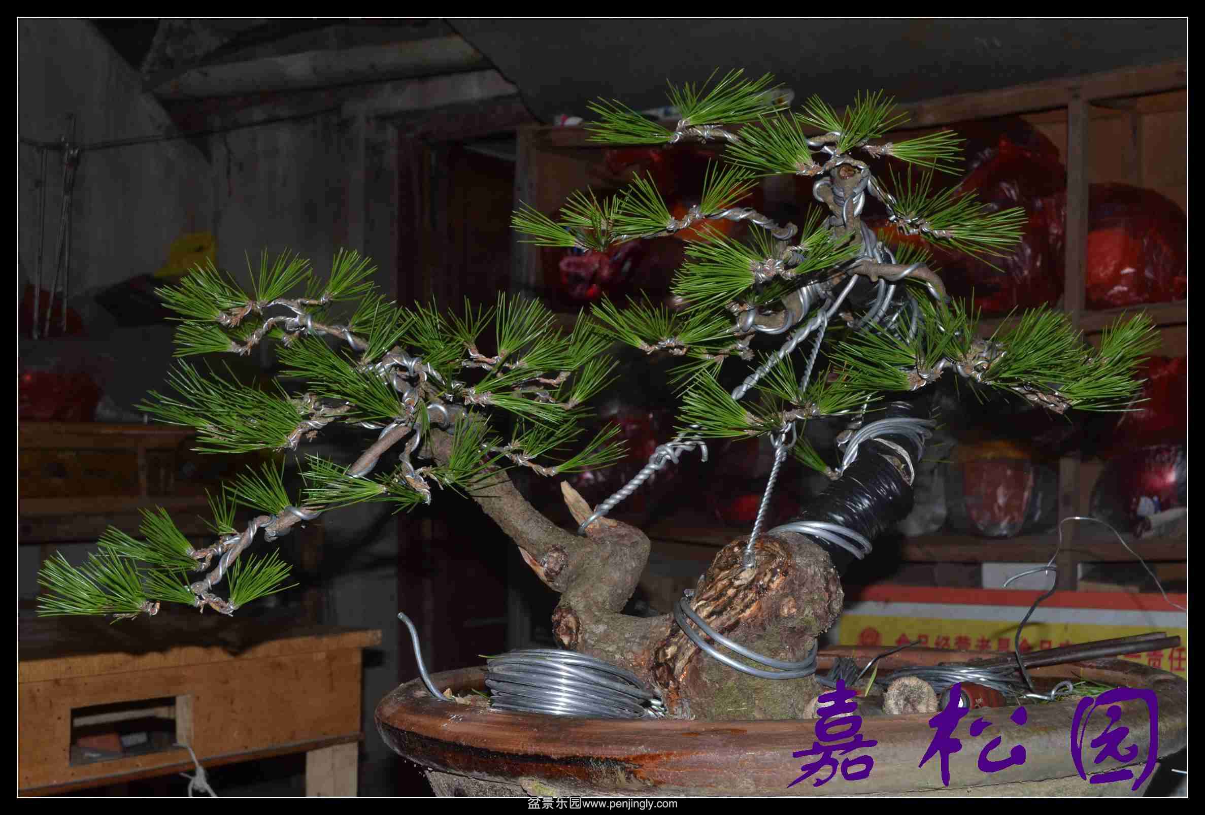 ����˫�˺��� 011.JPG