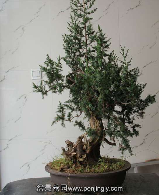 �ݷ�̰� (1).jpg