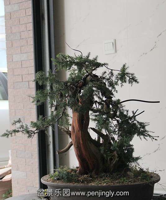 �ݷ�̰� (2).jpg