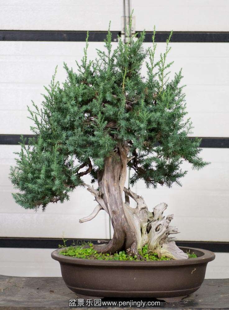 �ݷ�̰� (3).jpg