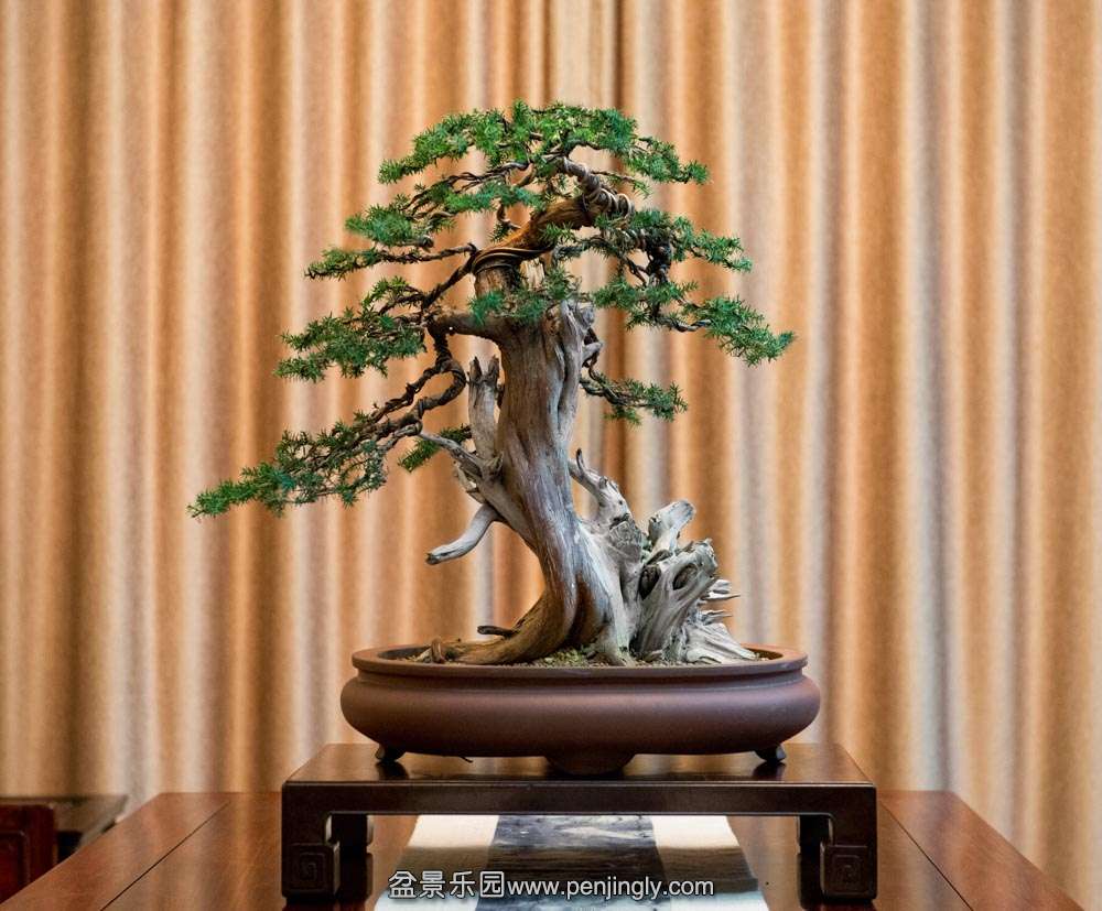 �ݷ�̰� (4).jpg