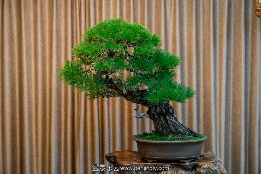 б�˴���� (1).jpg