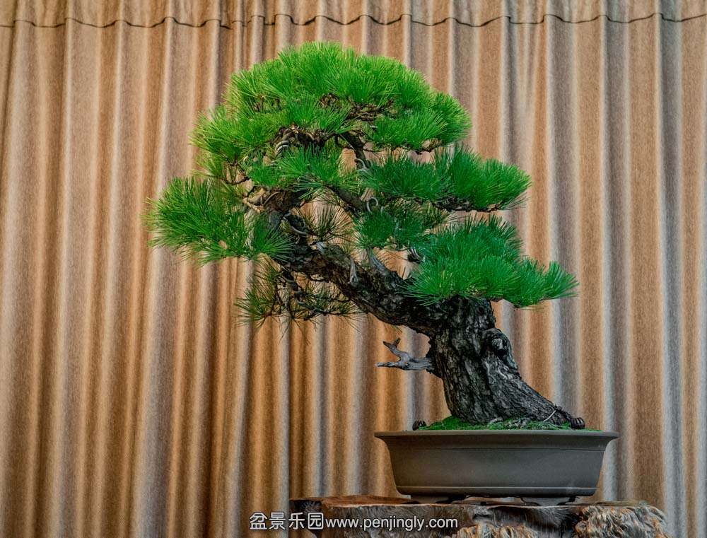 б�˴���� (2).jpg