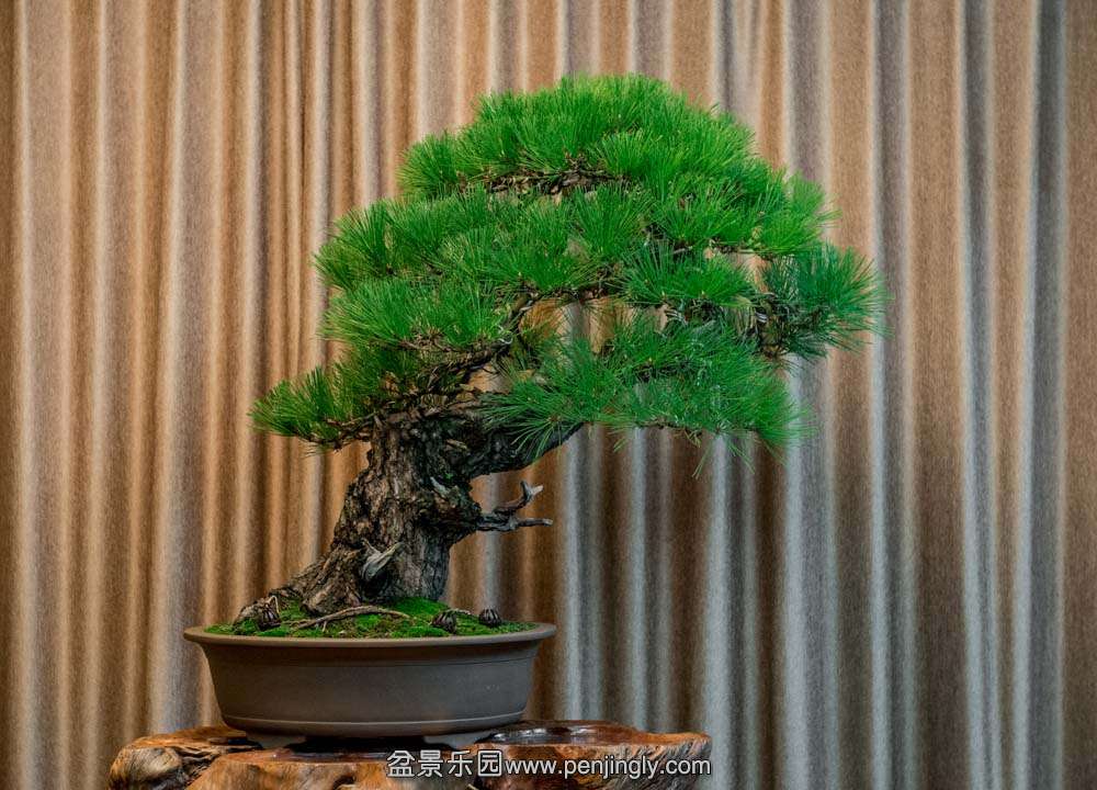 б�˴���� (3).jpg