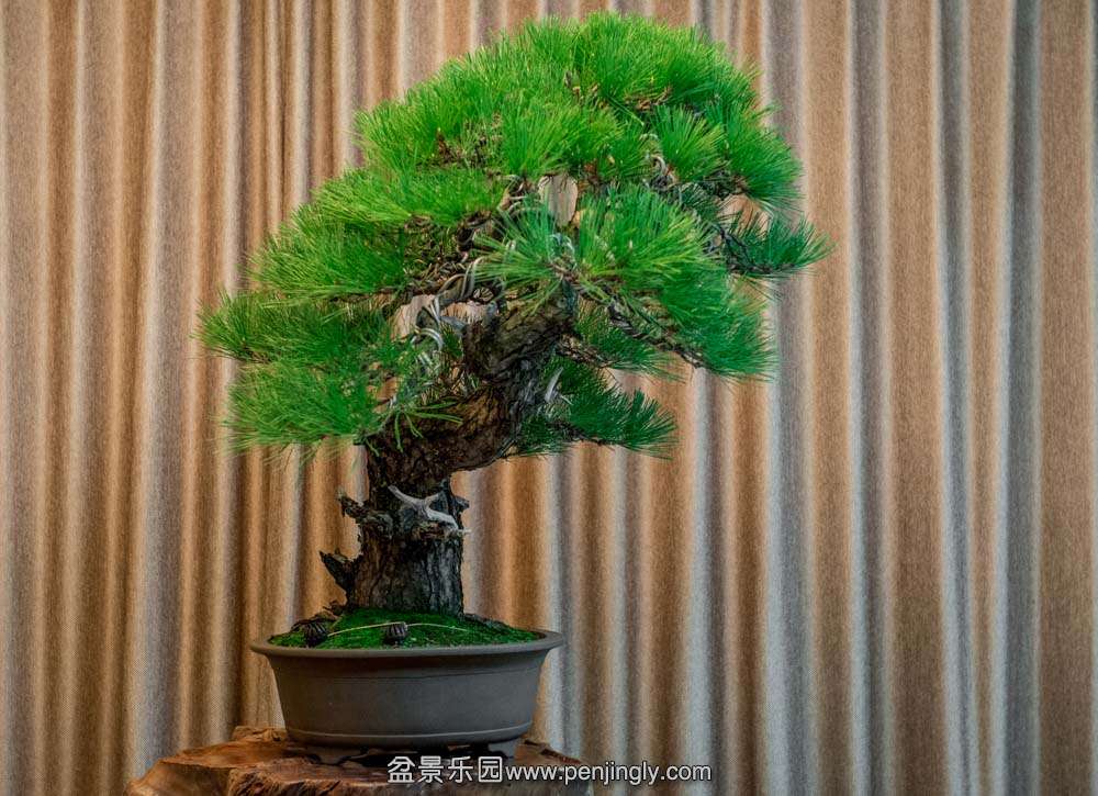 б�˴���� (4).jpg