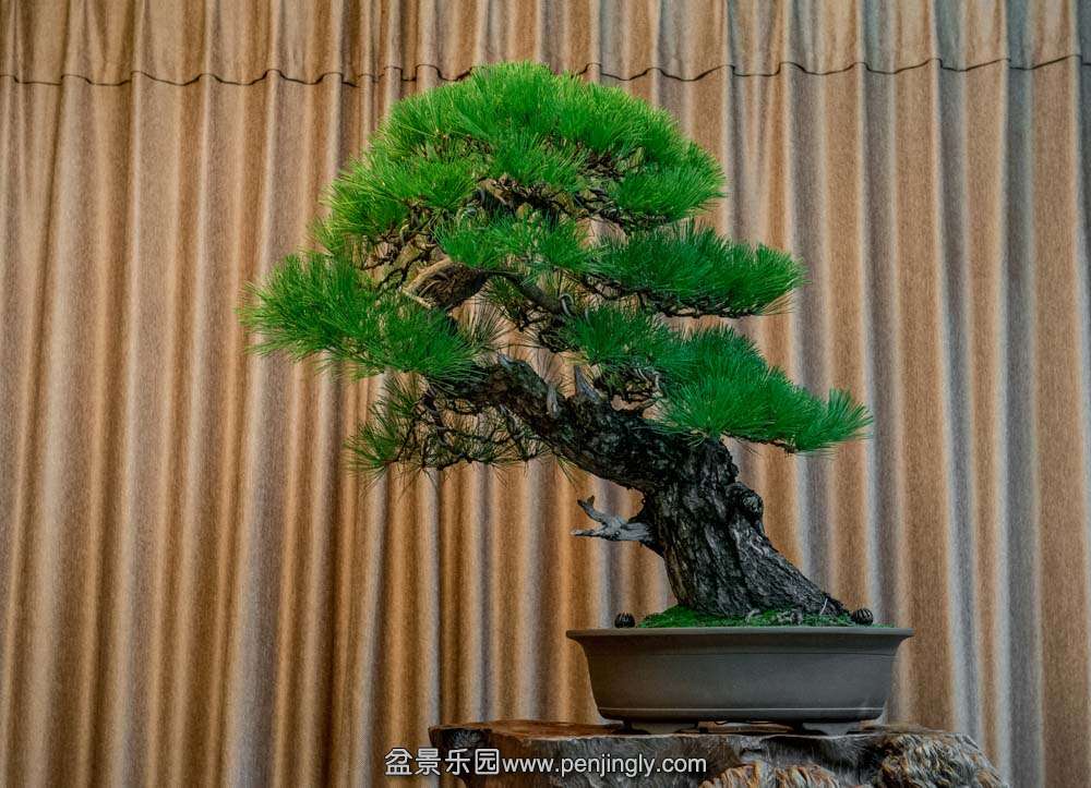 б�˴���� (5).jpg