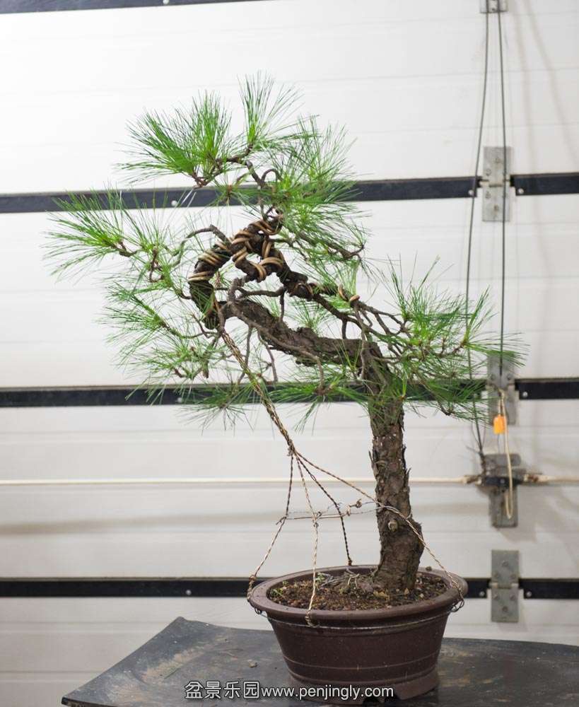 ��ɽ�� (1).jpg