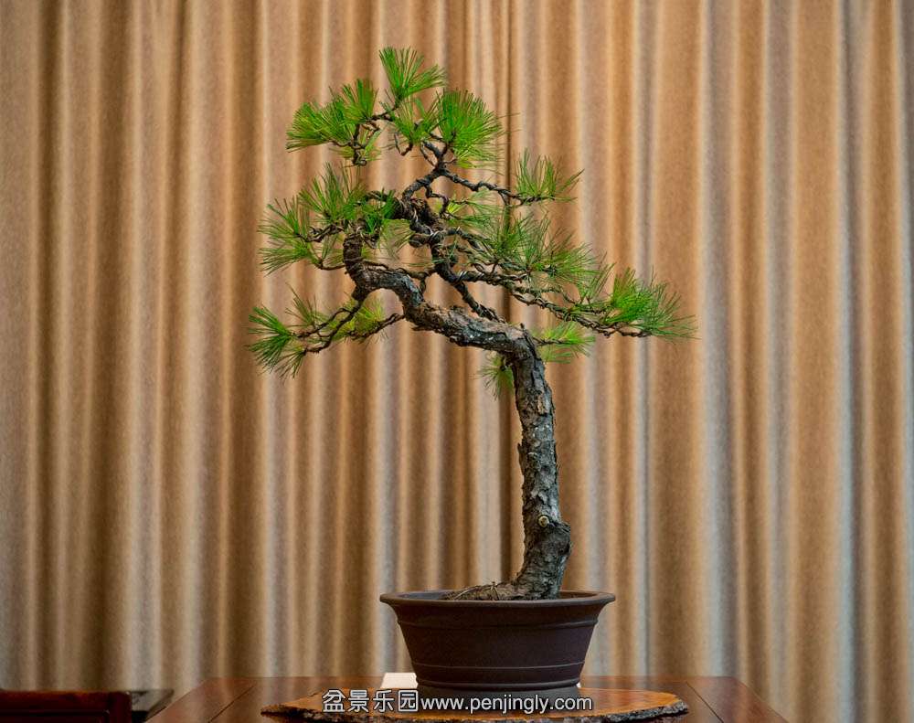 ��ɽ�� (2).jpg