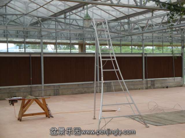 DSC08931.JPG