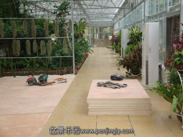 DSC08934.JPG