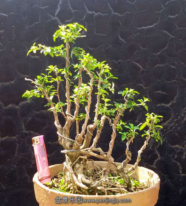 20140912_103910.jpg