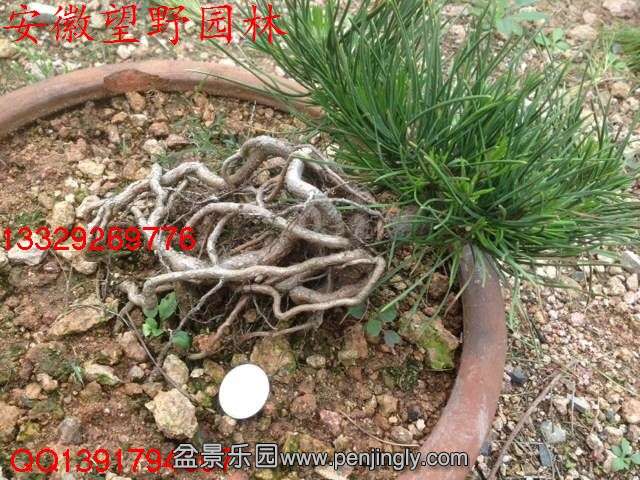 D07DD6F60BCE64B5DF3BD299F8EB8A7F.jpg
