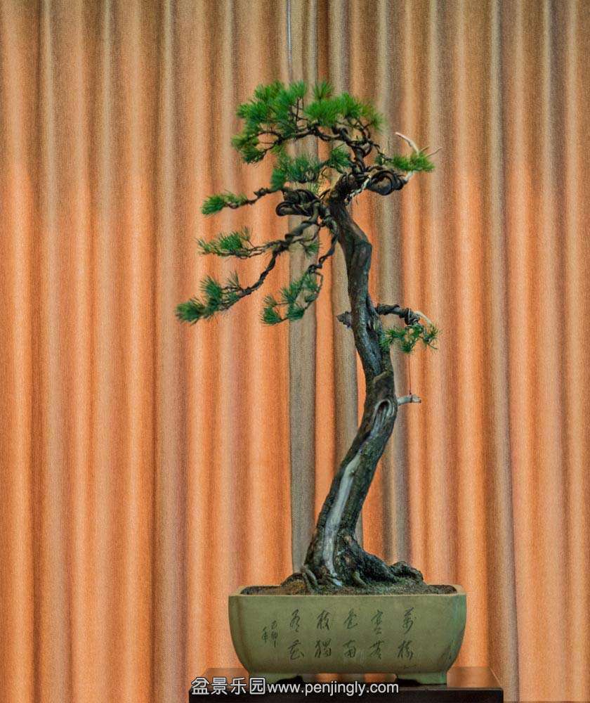 �������� (2).jpg