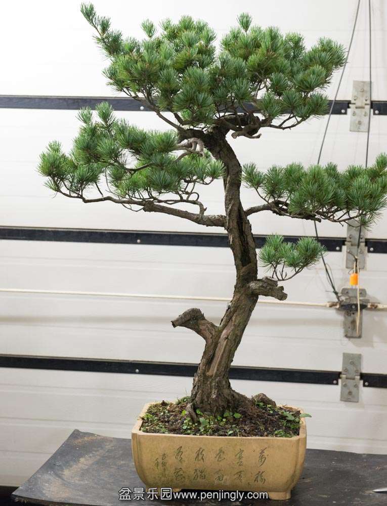 �������� (1).jpg