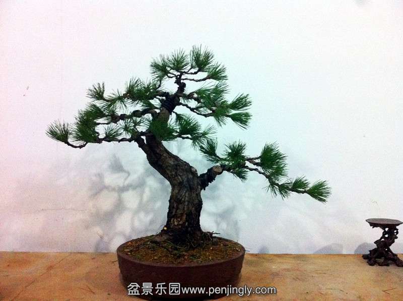 QQͼƬ20140914223758_.jpg