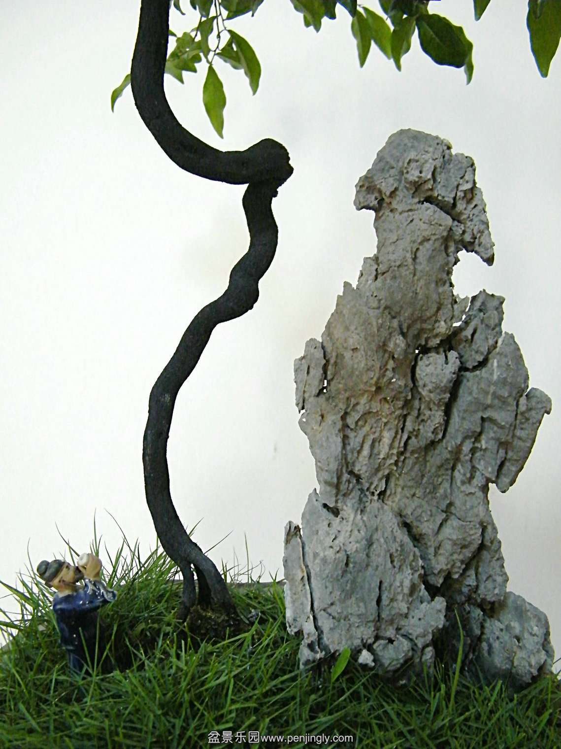 DSCF3960.JPG