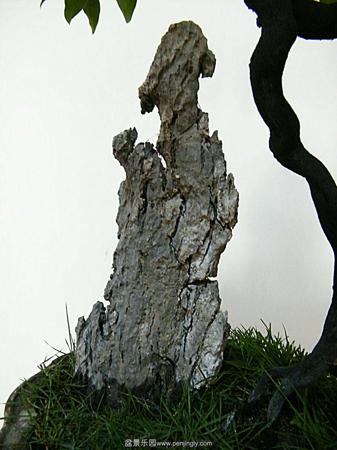 DSCF3970.JPG