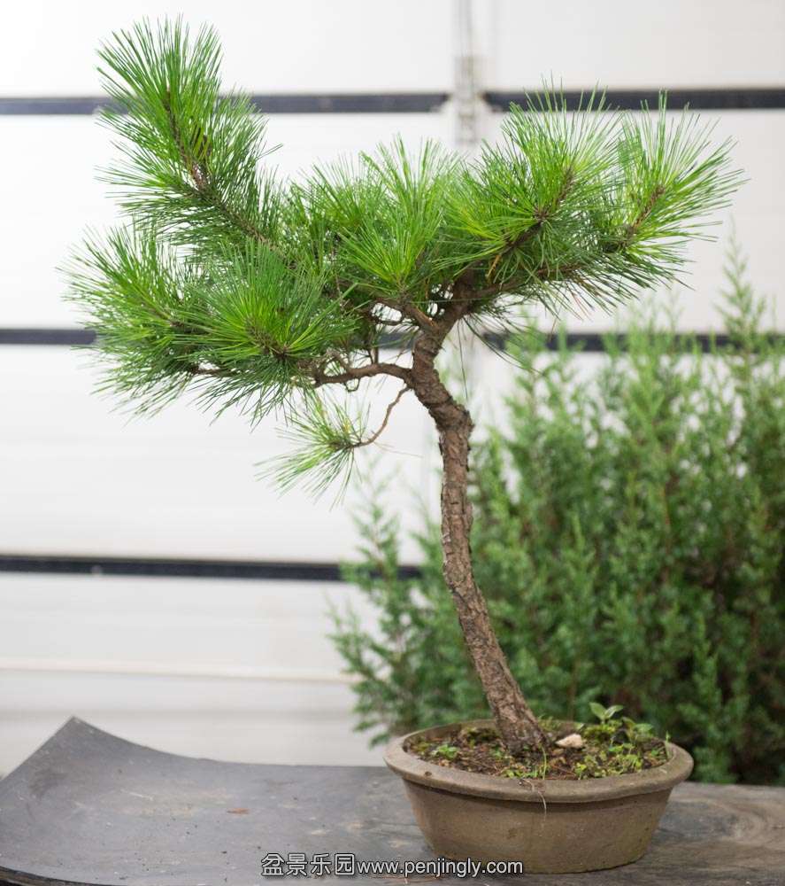 ���˺���1 (1).jpg