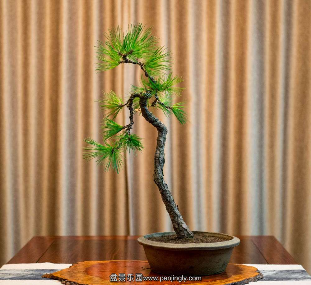 ���˺���1 (2).jpg