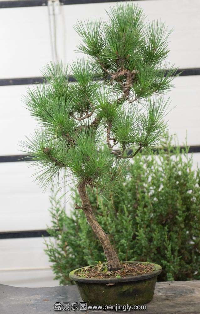 ���˺���2 (1).jpg