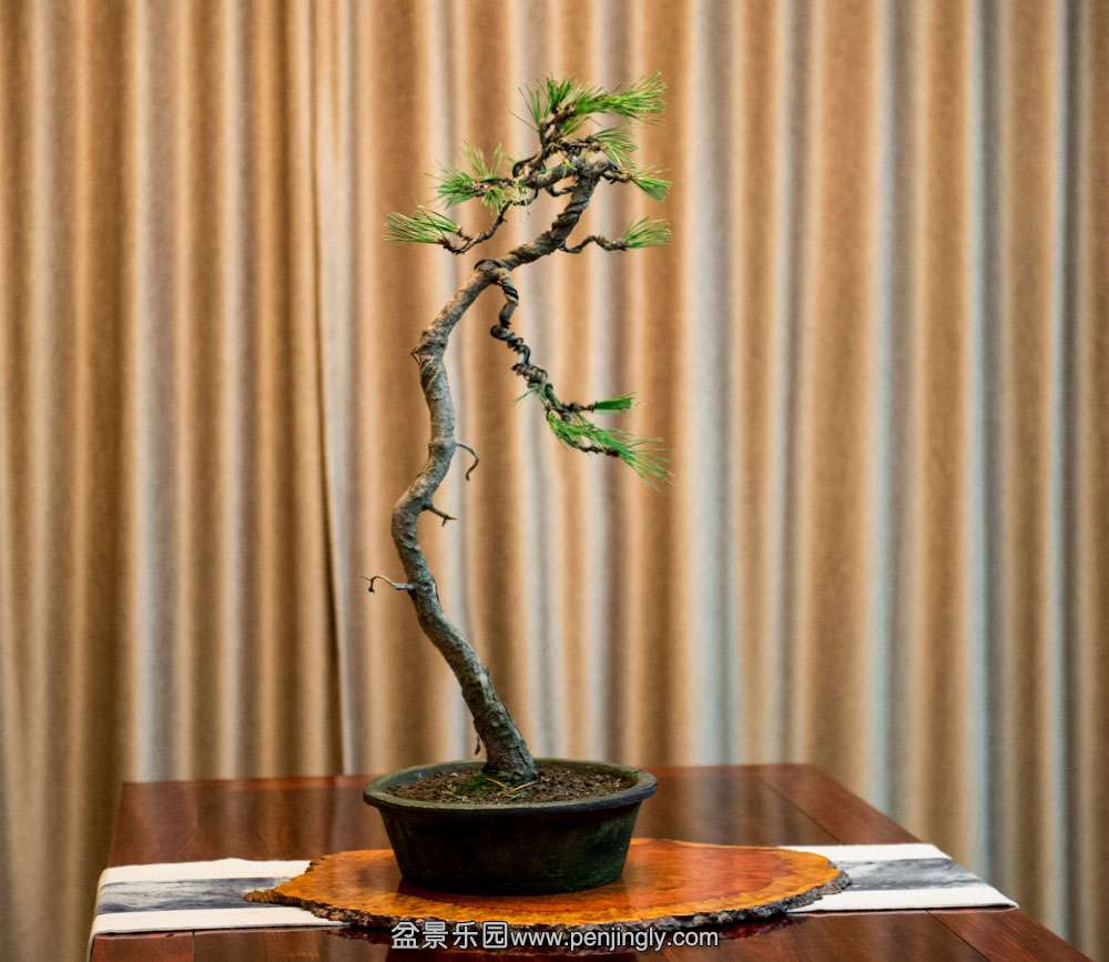 ���˺���2 (2).jpg