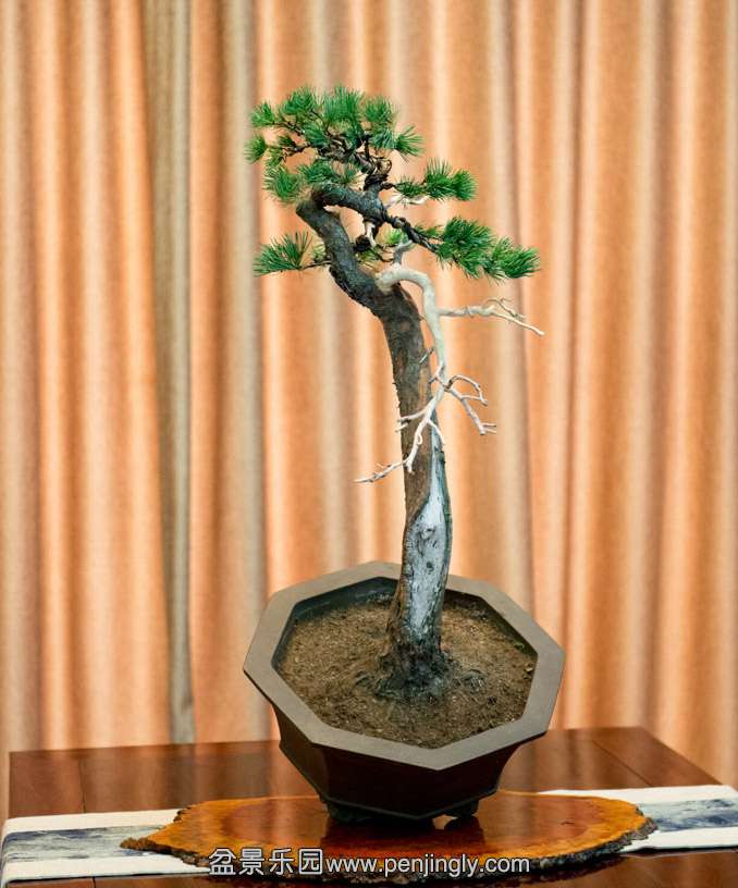 ������2 (3).jpg