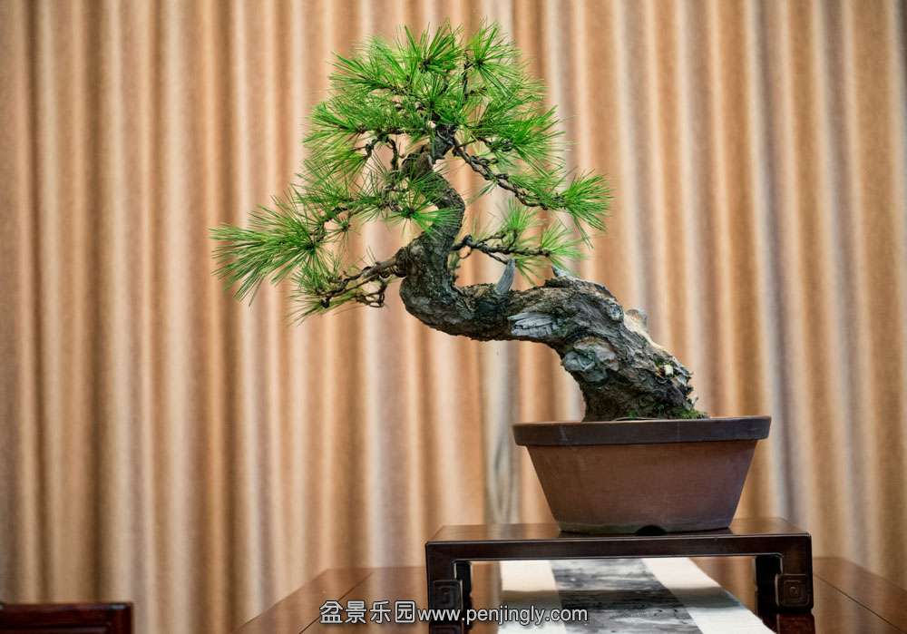 ��ˮ���� (1).jpg