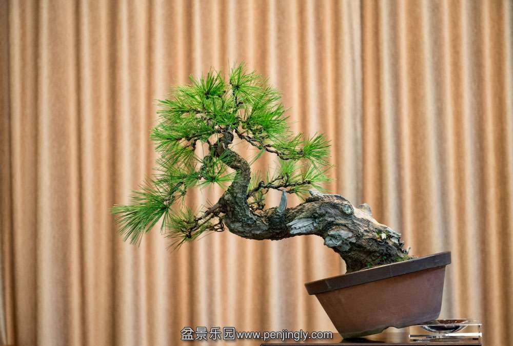 ��ˮ���� (2).jpg