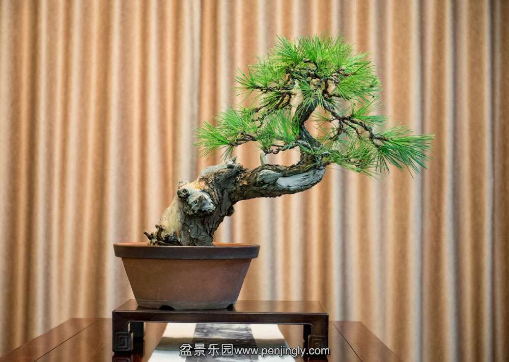 ��ˮ���� (3).jpg