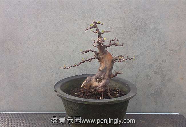 201409141476_.jpg