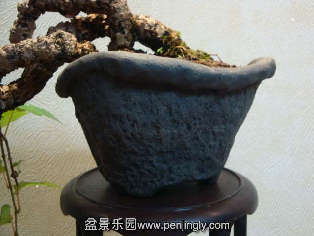 DSC08900.JPG