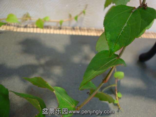 DSC08901.JPG