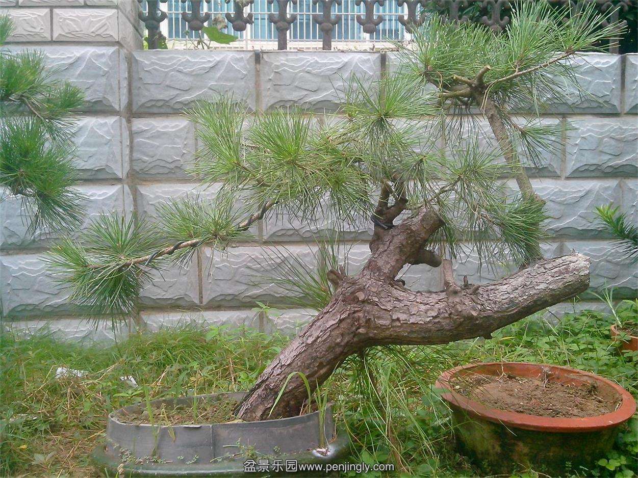 IMG20140916002 (2).jpg