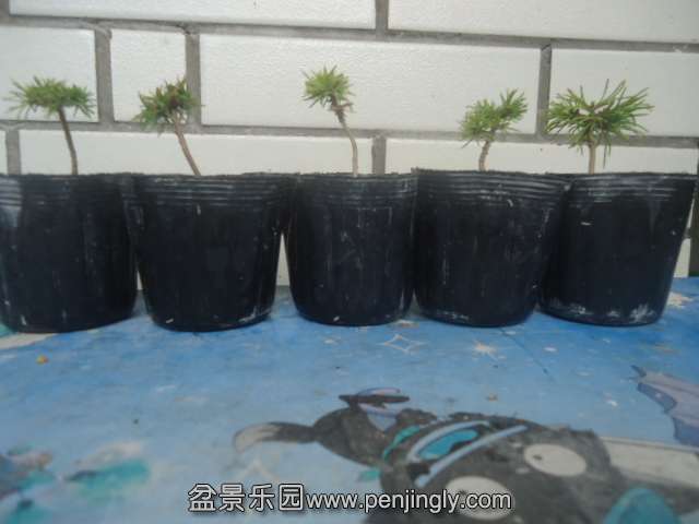 DSC07189.JPG