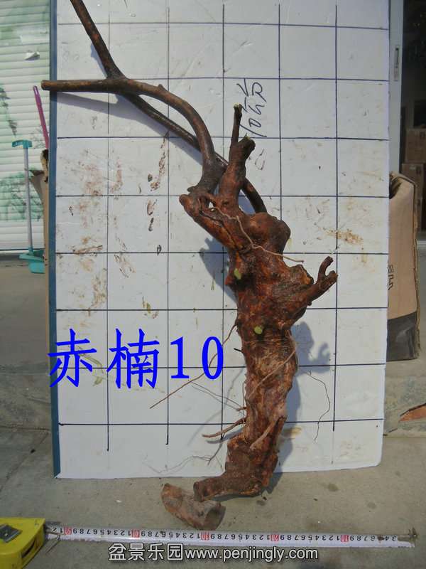 CIMG2089.JPG