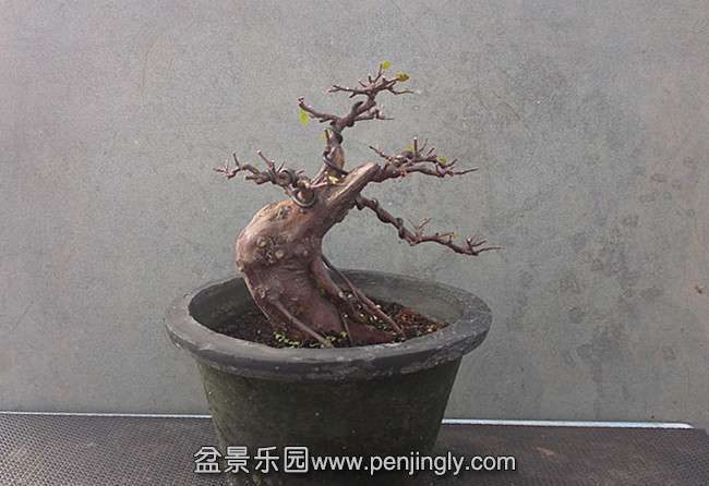 201409141475_.jpg